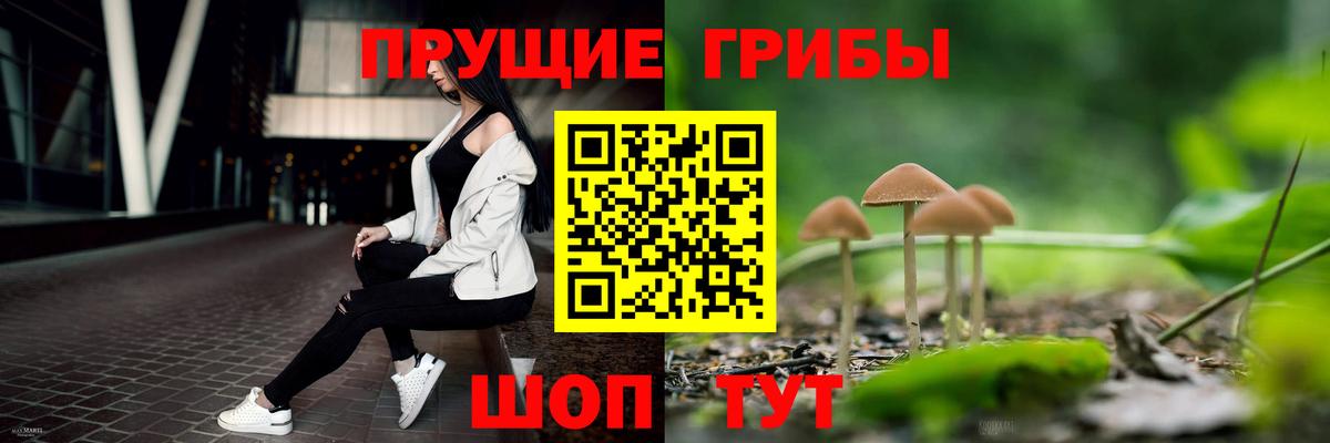 Галлюциногенные грибы MAGIC MUSHROOMS Электрогорск